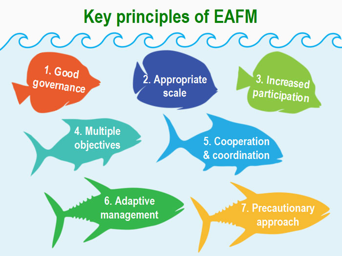 EAFM Key Principles